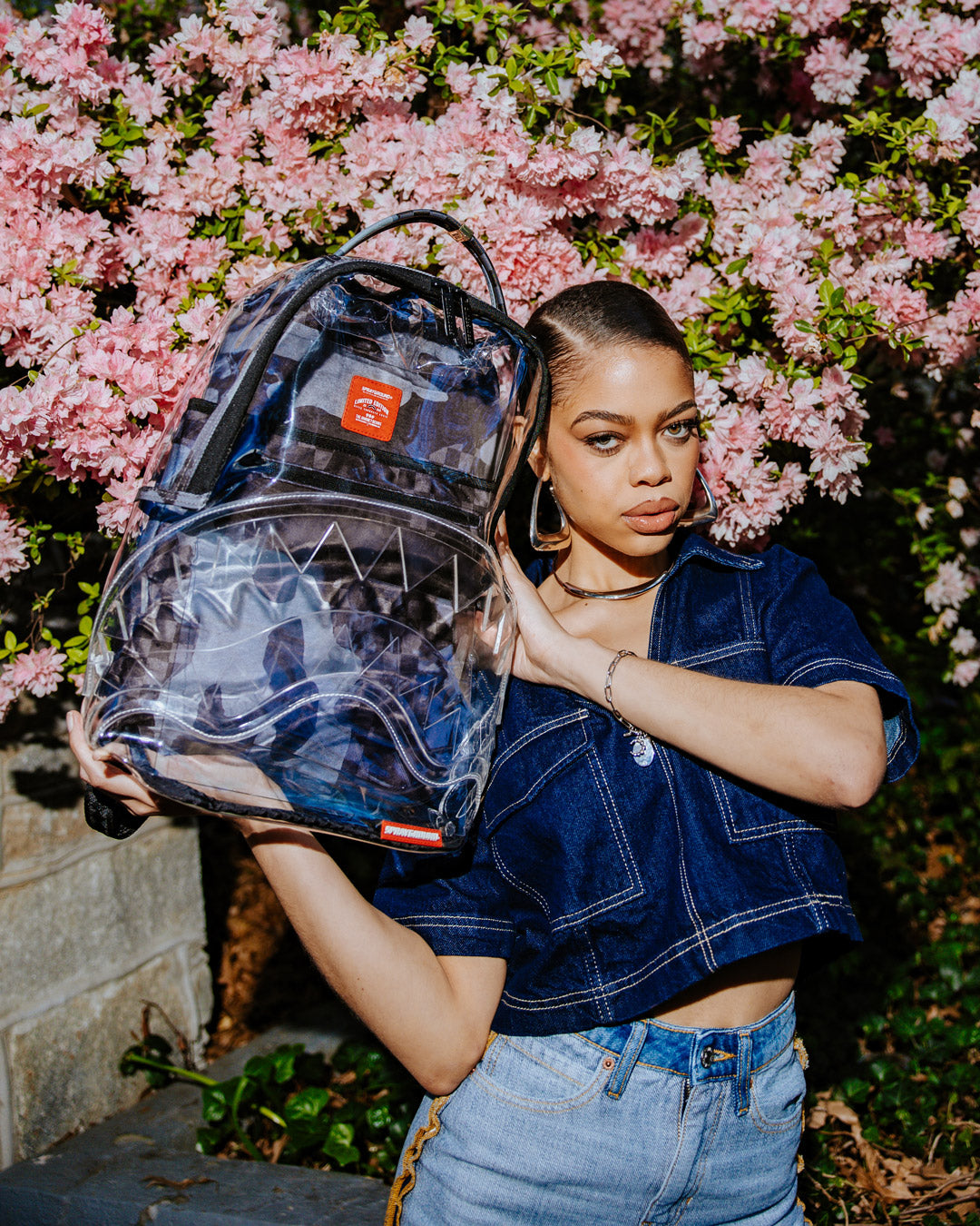 CLEAR AS NIGHT ?C CLEAR DLX BACKPACK - Image 6