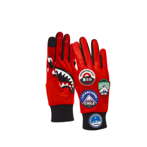 THE GLOBAL EXPEDITION GLOVES