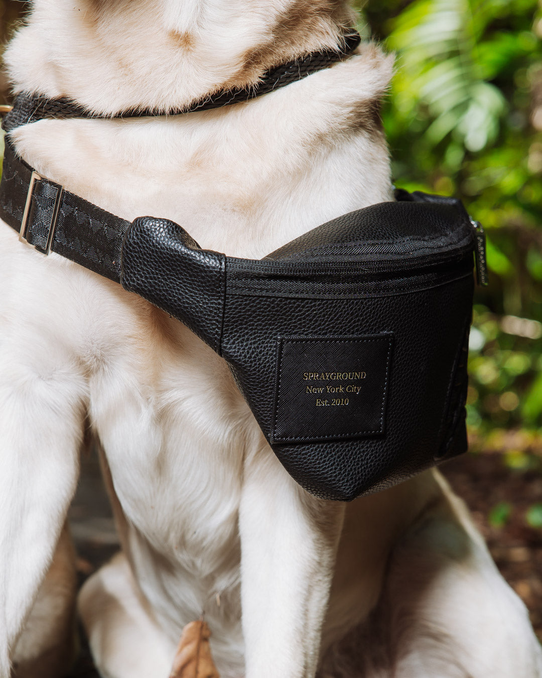 THE HQ SAVVY CROSSBODY - Image 9